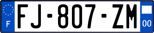 FJ-807-ZM