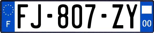 FJ-807-ZY