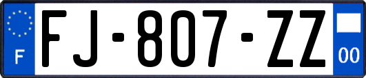 FJ-807-ZZ