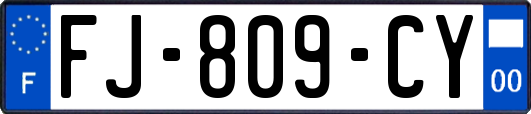 FJ-809-CY