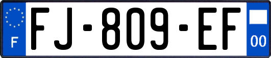 FJ-809-EF