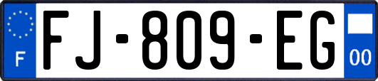 FJ-809-EG