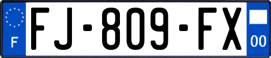 FJ-809-FX