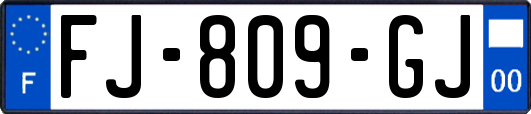 FJ-809-GJ