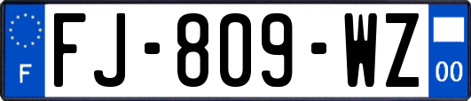 FJ-809-WZ