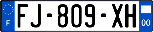 FJ-809-XH