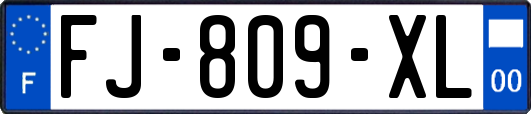 FJ-809-XL