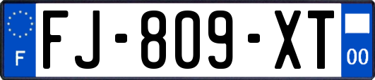 FJ-809-XT