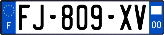 FJ-809-XV