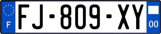 FJ-809-XY