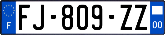 FJ-809-ZZ