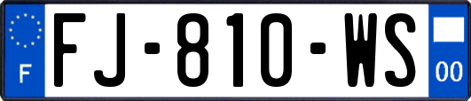 FJ-810-WS