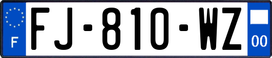 FJ-810-WZ