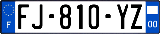 FJ-810-YZ