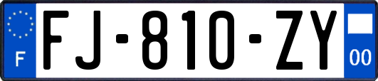 FJ-810-ZY