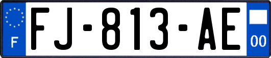 FJ-813-AE