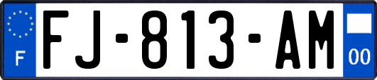 FJ-813-AM