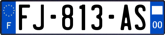 FJ-813-AS