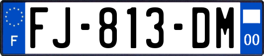 FJ-813-DM