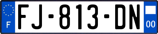 FJ-813-DN