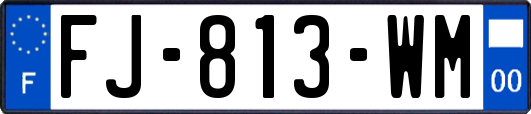 FJ-813-WM