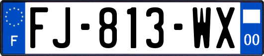 FJ-813-WX