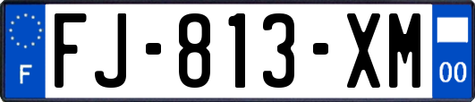 FJ-813-XM