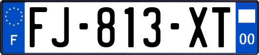 FJ-813-XT