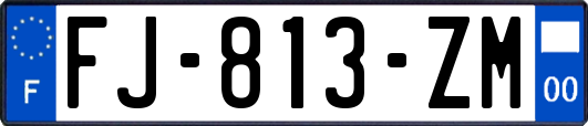 FJ-813-ZM