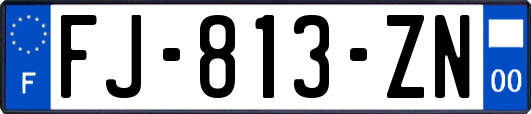 FJ-813-ZN