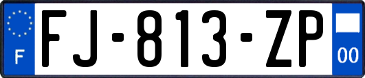 FJ-813-ZP