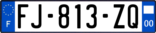 FJ-813-ZQ