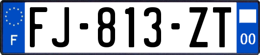 FJ-813-ZT