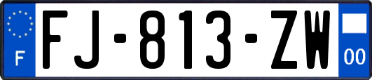 FJ-813-ZW