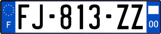 FJ-813-ZZ