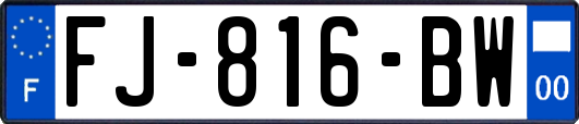 FJ-816-BW