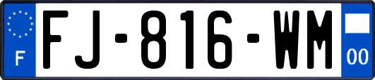 FJ-816-WM