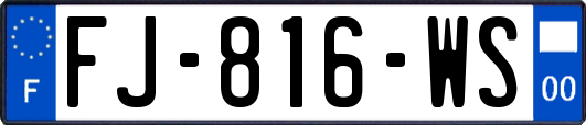 FJ-816-WS