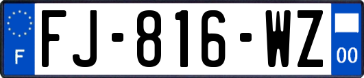 FJ-816-WZ