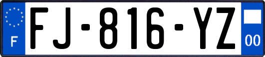 FJ-816-YZ