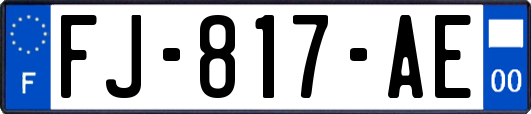 FJ-817-AE