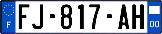 FJ-817-AH