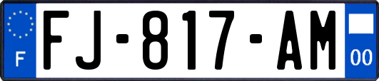 FJ-817-AM