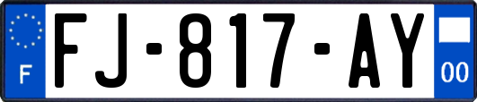 FJ-817-AY