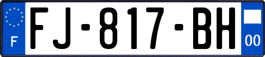 FJ-817-BH
