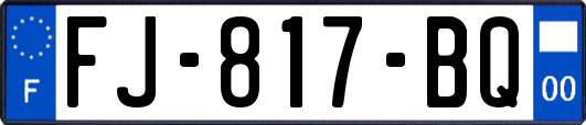 FJ-817-BQ