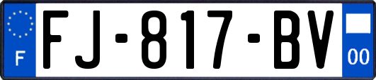 FJ-817-BV