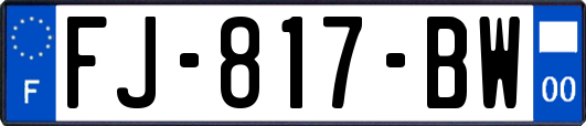FJ-817-BW