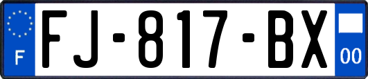 FJ-817-BX