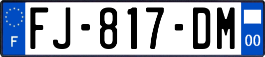 FJ-817-DM